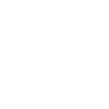 money icon